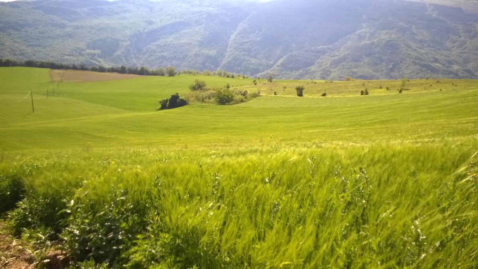B&B Casale Giovannozzi Ascoli Piceno Kültér fotó