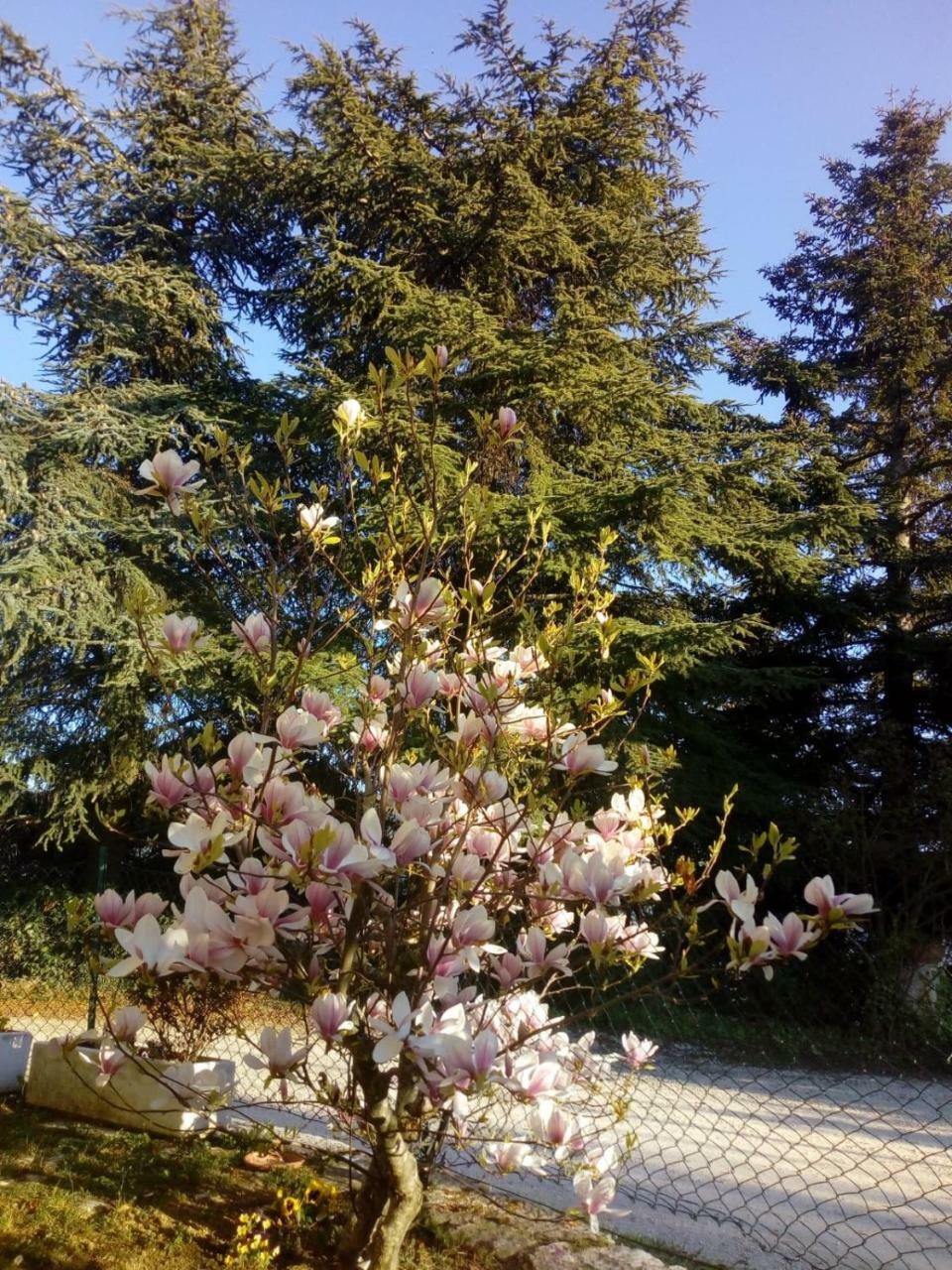 B&B Casale Giovannozzi Ascoli Piceno Kültér fotó